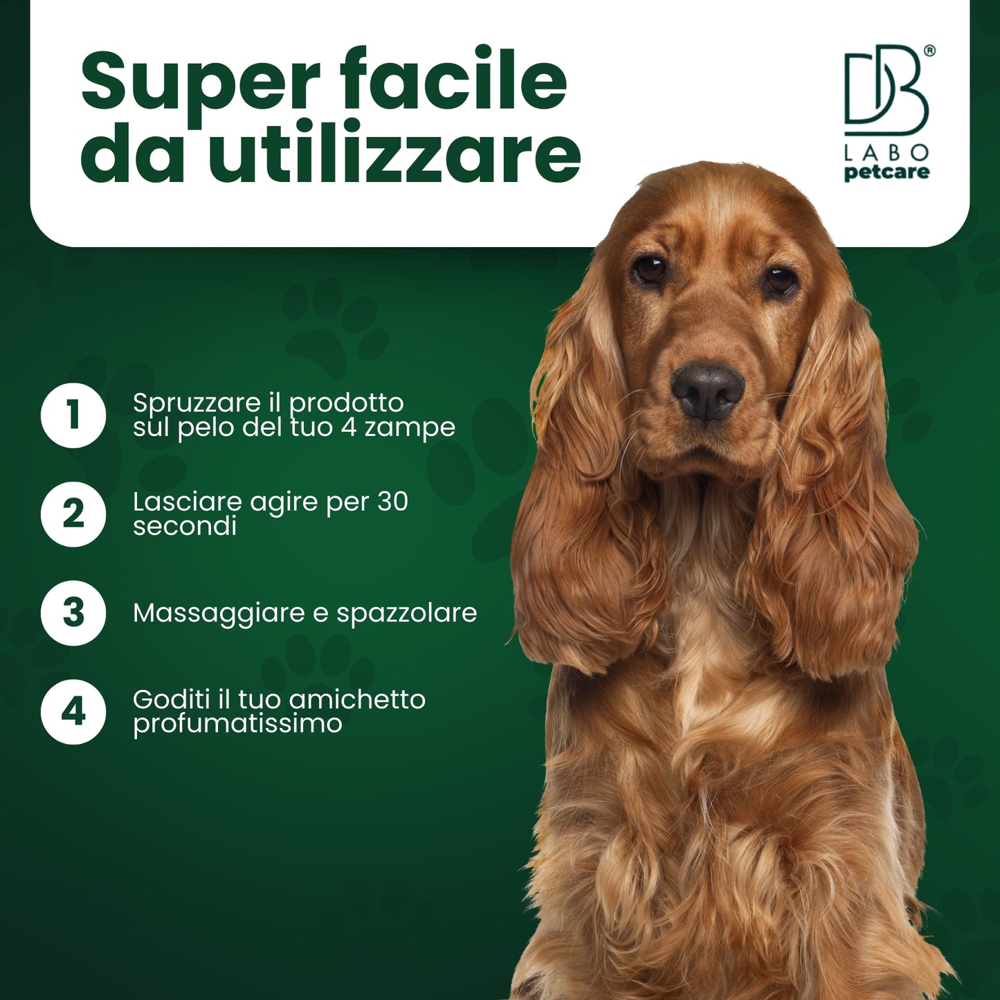 Shampoo secco per cani & gatti