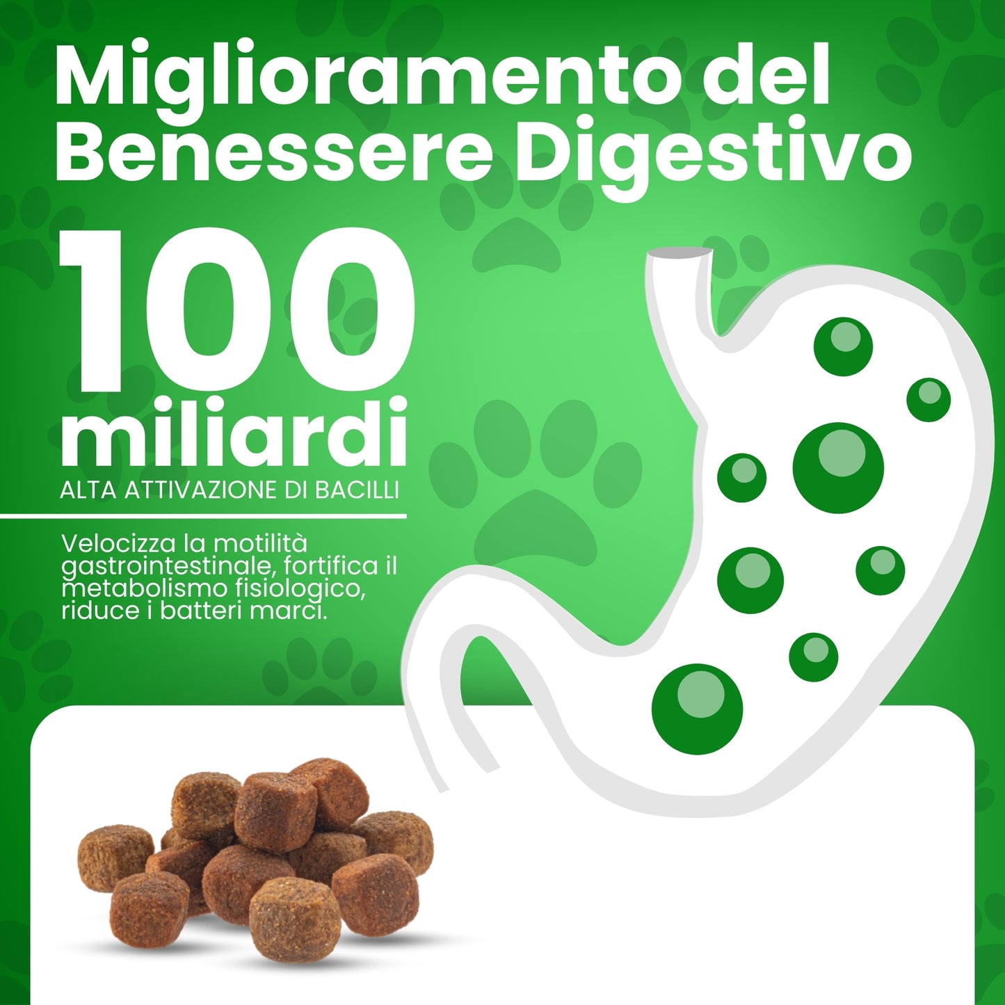Probiotico per cani
